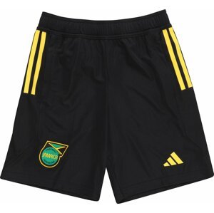 ADIDAS PERFORMANCE Sportovní kalhoty 'Jamaika Tiro 23' žlutá / zelená / černá