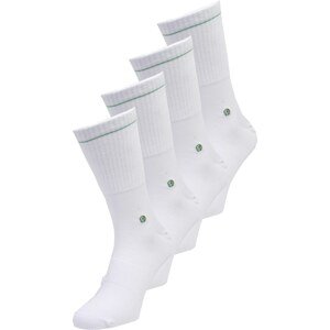 Albert Schäfer Ponožky světle zelená / bílá