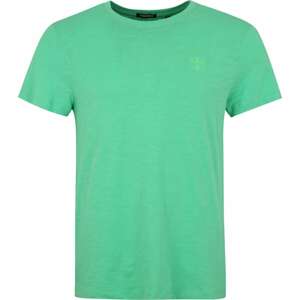 Funkční tričko Chiemsee rákos / světle zelená / černá