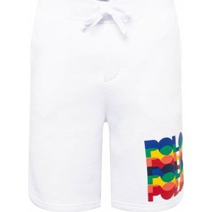 Kalhoty Polo Ralph Lauren mix barev / bílá