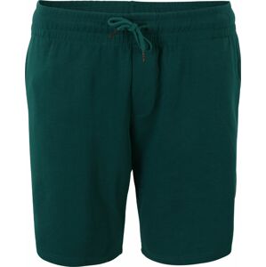 Kalhoty Jack & Jones Plus smaragdová / mandarinkoná