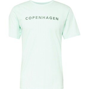 Tričko 'Copenhagen' lindbergh mátová / černá
