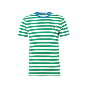 Polo Ralph Lauren Tričko modrá / zelená / malinová / bílá