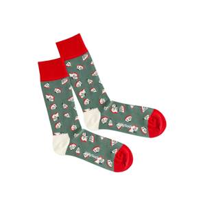 DillySocks Ponožky 'Sharpener'  zelená / červená / bílá