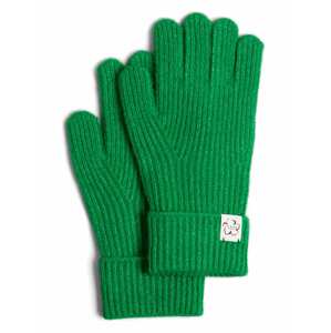 Ted Baker Prstové rukavice 'Brittea'  trávově zelená