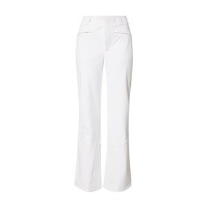Spyder Outdoorové kalhoty stříbrná / bílá