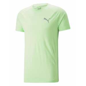 PUMA Funkční tričko 'EVOSTRIPE'  světle šedá / světle zelená
