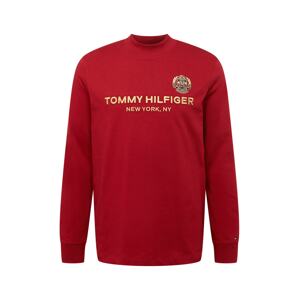 TOMMY HILFIGER Tričko námořnická modř / hořčicová / červená / bílá