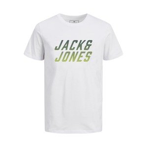 Jack & Jones Junior Tričko 'Haak'  světle zelená / tmavě zelená / bílá