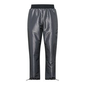ADIDAS PERFORMANCE Sportovní kalhoty tmavě šedá
