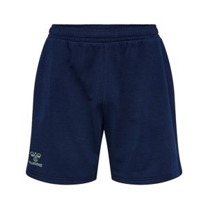 Hummel Sportovní kalhoty 'Staltic' tmavě modrá / pastelově zelená