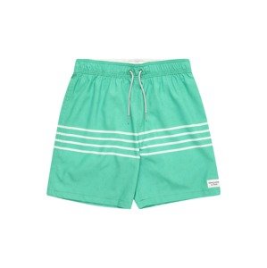 Abercrombie & Fitch Plavecké šortky zelená / offwhite