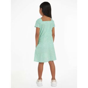 Calvin Klein Šaty pastelově zelená / bílá