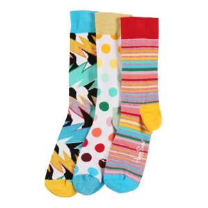 Happy Socks Ponožky 'Pride Gift Box'  mix barev