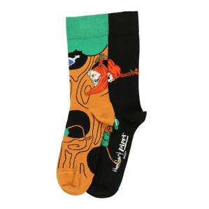 Happy Socks Ponožky  černá / tmavě oranžová / světle zelená