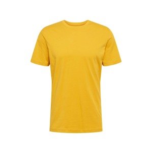 SELECTED HOMME Tričko 'Norman'  zlatě žlutá