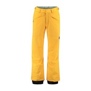 O'NEILL Sportovní kalhoty 'Hammer'  černá / limone
