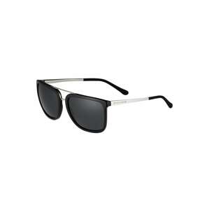 Ralph Lauren Sluneční brýle '0RL8164'  černá / stříbrná