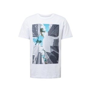 SELECTED HOMME T-Shirt  bílá / světlemodrá / tmavě šedá