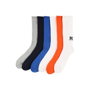 Polo Ralph Lauren Socken  modrá / tmavě modrá / šedá / tmavě oranžová / bílá