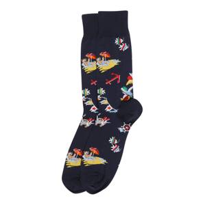 POLO RALPH LAUREN Ponožky  námořnická modř / žlutá / červená / zelená / světlemodrá