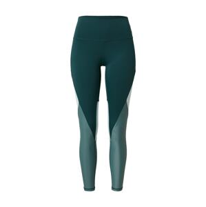 ENDURANCE Sportovní kalhoty 'Dolyniee'  tmavě zelená / mátová / bílá