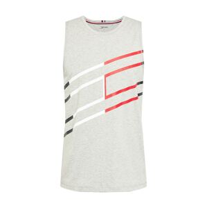 Tommy Sport Funkční tričko  světle šedá / námořnická modř / bílá / červená