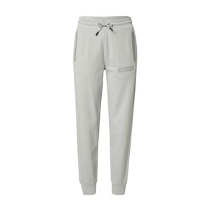 Calvin Klein Performance Sportovní kalhoty  světle šedá / stříbrně šedá