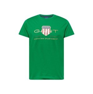 GANT Tričko  zelená / mix barev