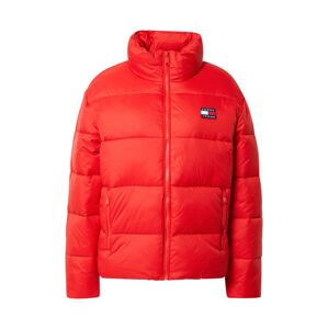 Tommy Jeans Zimní bunda  modrá / červená / světle červená / bílá