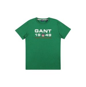 GANT Tričko  trávově zelená / bílá / červená / noční modrá