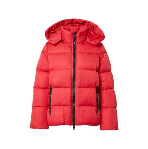 ARMANI EXCHANGE Zimní bunda  červená / černá
