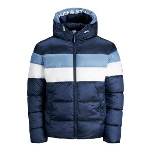 JACK & JONES Zimní bunda 'Paxson'  béžová / námořnická modř / světlemodrá / bílá