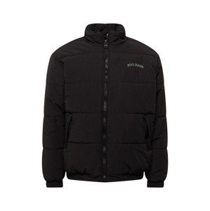 BDG Urban Outfitters Zimní bunda  černá / zelená
