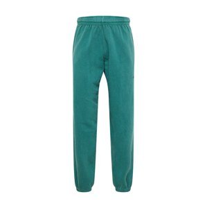 BDG Urban Outfitters Kalhoty  trávově zelená
