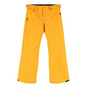 BURTON Sportovní kalhoty 'Barnstorm'  zlatě žlutá / noční modrá