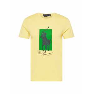 Polo Ralph Lauren Tričko žlutá / tmavě šedá / zelená