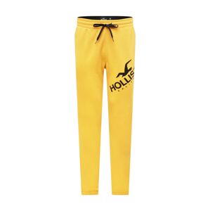 HOLLISTER Kalhoty  žlutá / černá