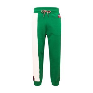 GANT Kalhoty námořnická modř / trávově zelená / bílá