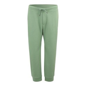 Polo Ralph Lauren Big & Tall Kalhoty  světle zelená