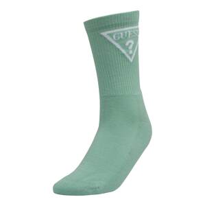 GUESS Ponožky 'ELLEN'  zelená / bílá