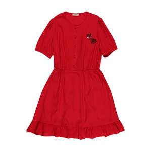 N°21 Šaty  červená / černá