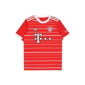 ADIDAS PERFORMANCE Funkční tričko 'FC Bayern München 22/23'  ohnivá červená / černá / bílá