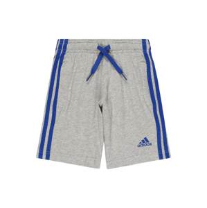 ADIDAS SPORTSWEAR Sportovní kalhoty modrá / šedý melír