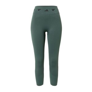 ADIDAS SPORTSWEAR Sportovní kalhoty tmavě zelená / černá