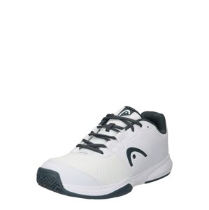 HEAD Sportovní boty 'Revolt'  námořnická modř / stříbrně šedá