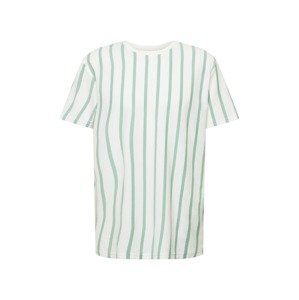 SELECTED HOMME Tričko  pastelově zelená / bílá