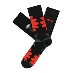 CHEERIO* Ponožky 'Beauty' modrá / šedá / červená / černá / bílá