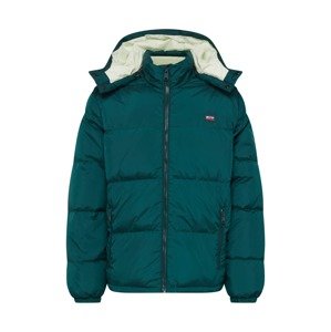 LEVI'S Zimní bunda 'Fillmore' smaragdová / světle zelená